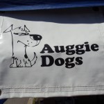 Auggie Dogs sign
