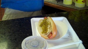 Galloping Hill hot dog- Half complete