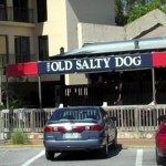 salty dog